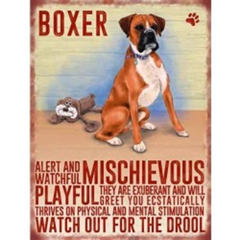 boxer mischievous dog breed metal sign|Boxer .